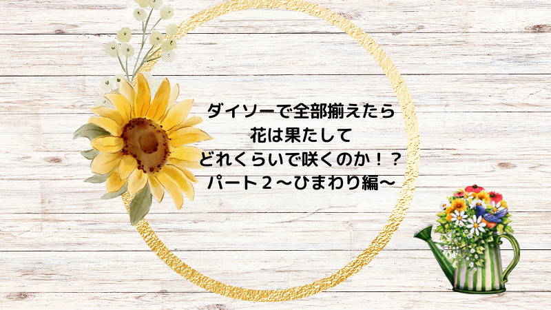 ダイソーで全部揃えたら花は果たしてどれくらいで咲くのか パート２ ひまわり編 ぐんぐん豆の樹ブログ