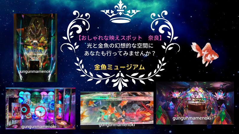おしゃれな映えスポット 奈良 光と金魚の幻想的な空間にあなたも行ってみませんか ぐんぐん豆の樹ブログ